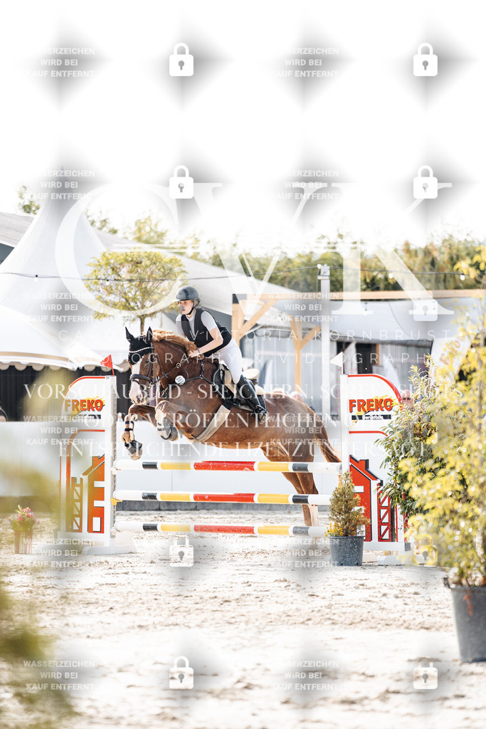 CK906025 | Turnierfotografie Pferdefotografie Trier Rheinland-Pfalz Pferdesport Reitsport Tierfotografie Sportfotografie Pferdevideo Pferdevideografie Equestrianvideography equestrianphotography  - Realisiert mit Pictrs.com