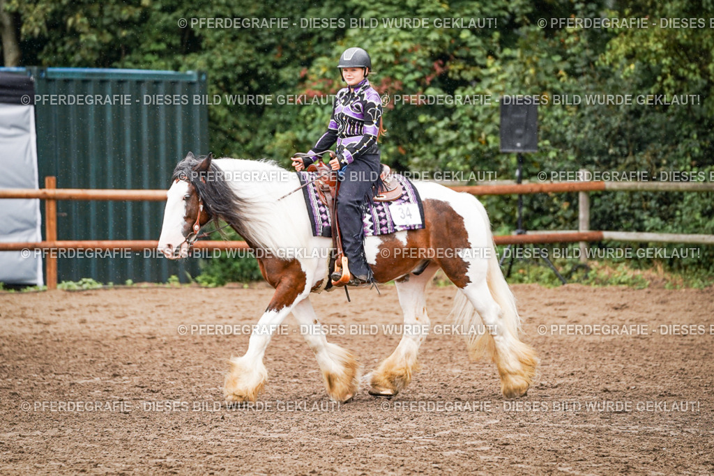 DSC05174 | Pferdegrafie