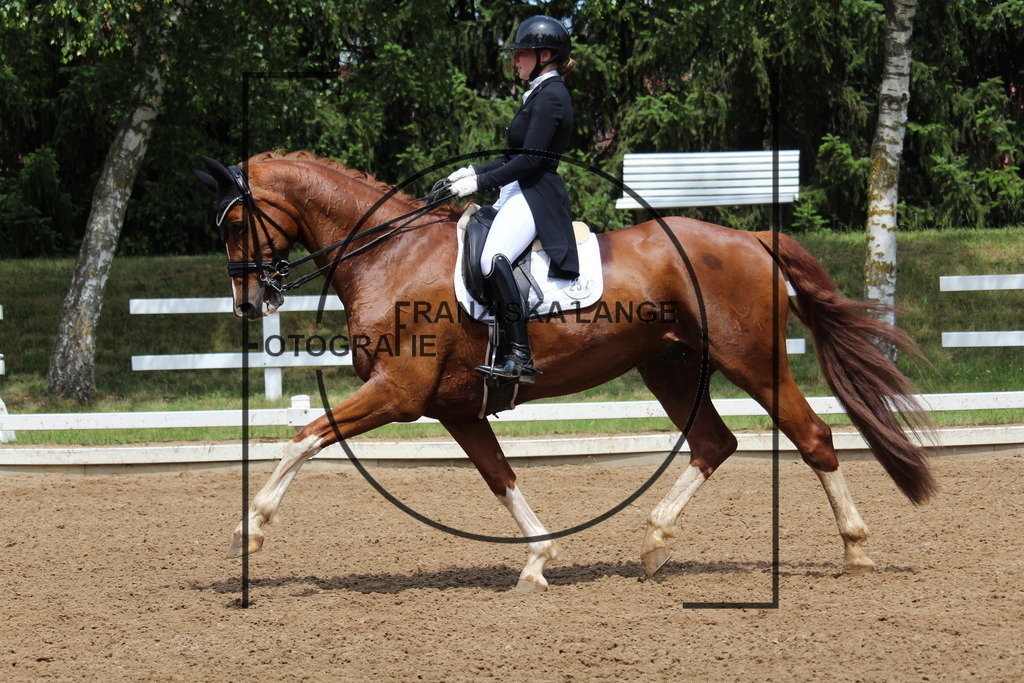 IMG_7949 | franziskalange - Realisiert mit Pictrs.com