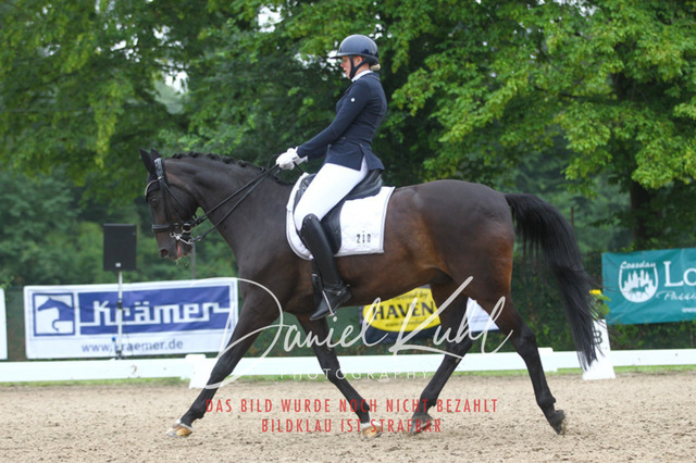 DKP40213 | Turniersportfotografie; Pferdefotografie; Dressurfotografie