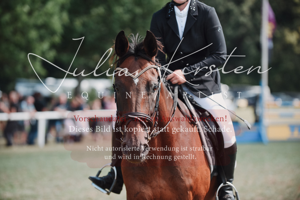 DSC_5785 | Pferde- und Turnierfotografie in Westsachsen. Pferdeportraits, Auftragszeichnungen und intuitive Kunst.