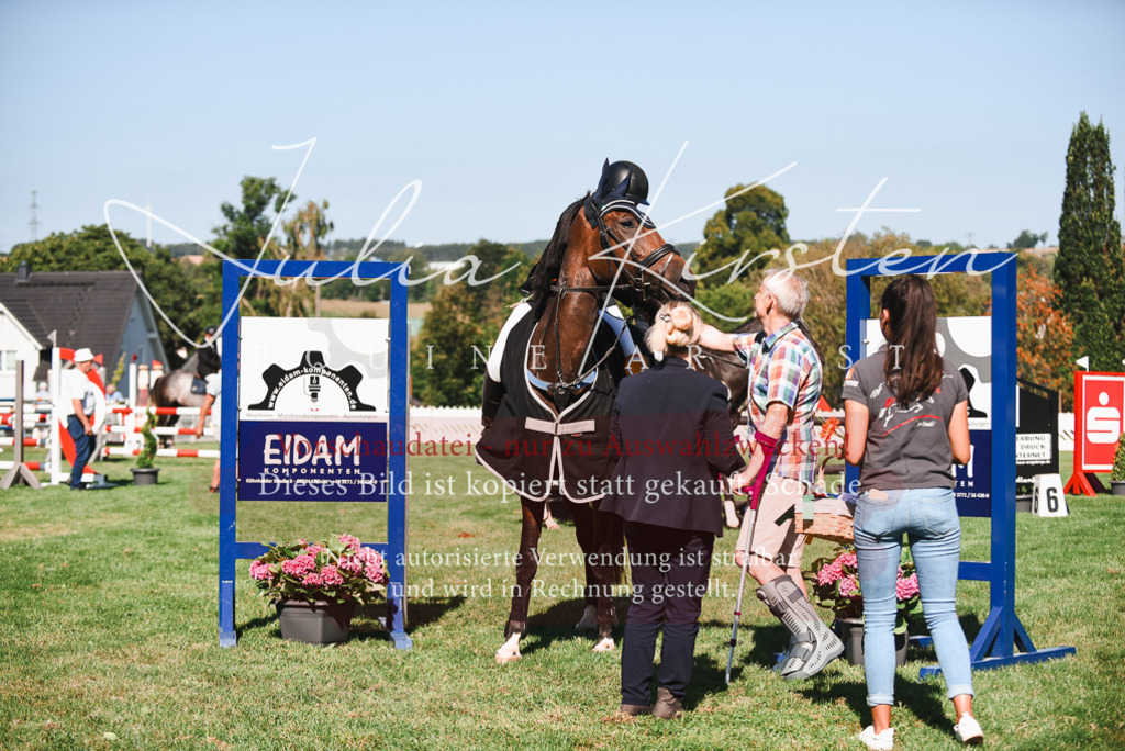 DSC_2611 | Pferde- und Turnierfotografie in Westsachsen. Pferdeportraits, Auftragszeichnungen und intuitive Kunst.