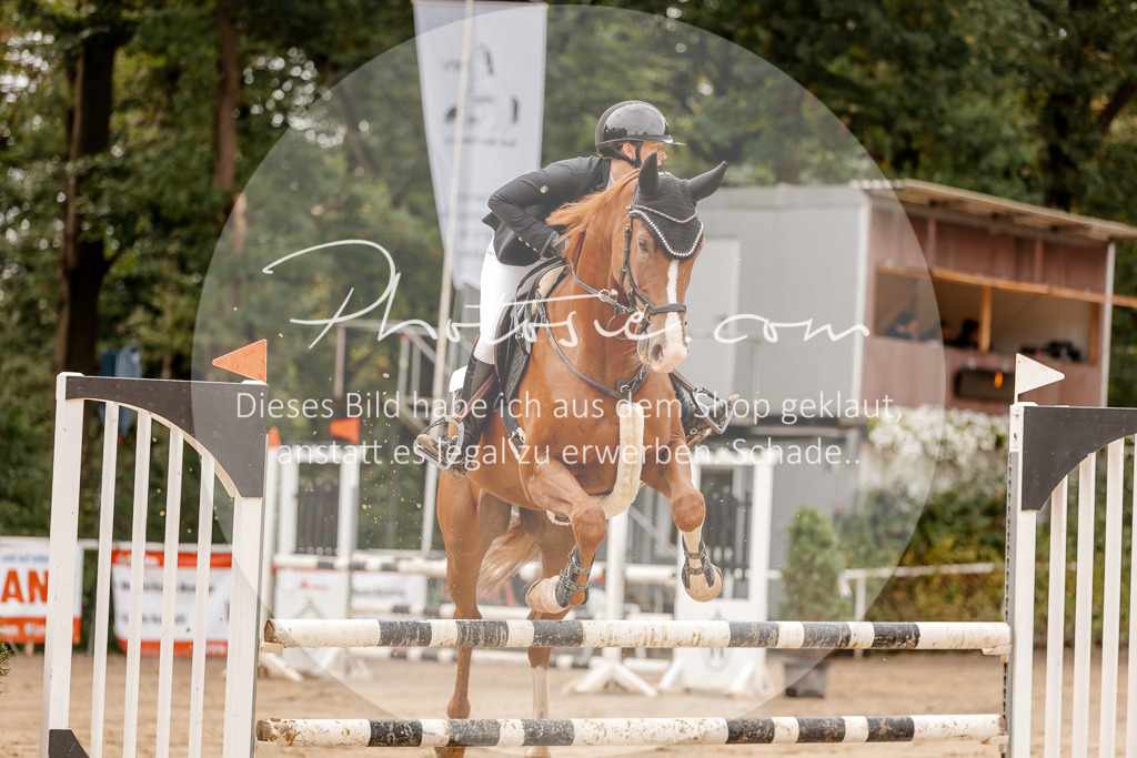 3I6A6532 | Stimmungsvolle Portraits und Reitsportfotografie im Ruhrgebiet und im Münsterland.

Pferdefotografie, Hundefotografie, Tierfotografie, Reportagen, Portraits von Tier und Mensch, Turnierfotografie in Bochum, Recklinghausen, Marl, Haltern am See, Dülmen.. - Realisiert mit Pictrs.com