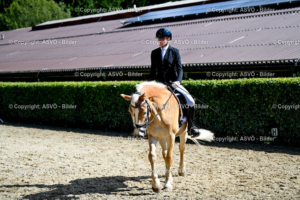 ASVÖ_ Reiten Bezirksmeisterschaft_ 24.08.2025-35 | 24.08.2025, AUT, ASVÖ, Reiten Bezirksmeisterschaft 2025Dressur und Springreiten©fodo.media / Harald Dostal - Realisiert mit Pictrs.com