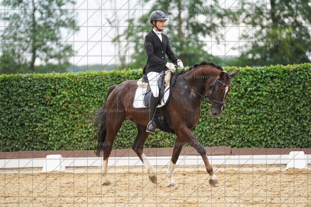 20240630-FAH00849 | Turnierbilder Schwabmünchen, Dressurbilder, Springreitturnier, Reitsportbilder, Turnierfotografen Bayern, Turnierfotograf