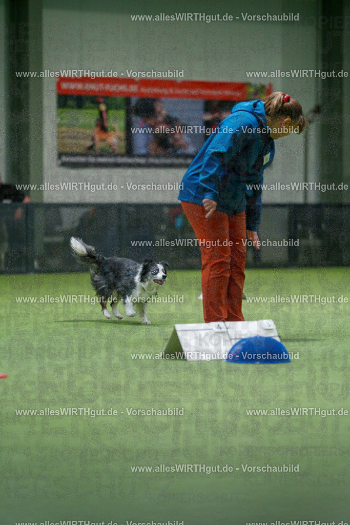 7R504451 | Professionelle Tierfotografie in Mönchengladbach von Daniel Wirth (allesWIRTHgut). Liebevolle & natürliche Bilder von Hunden & Katzen für unvergessliche Erinnerungen.