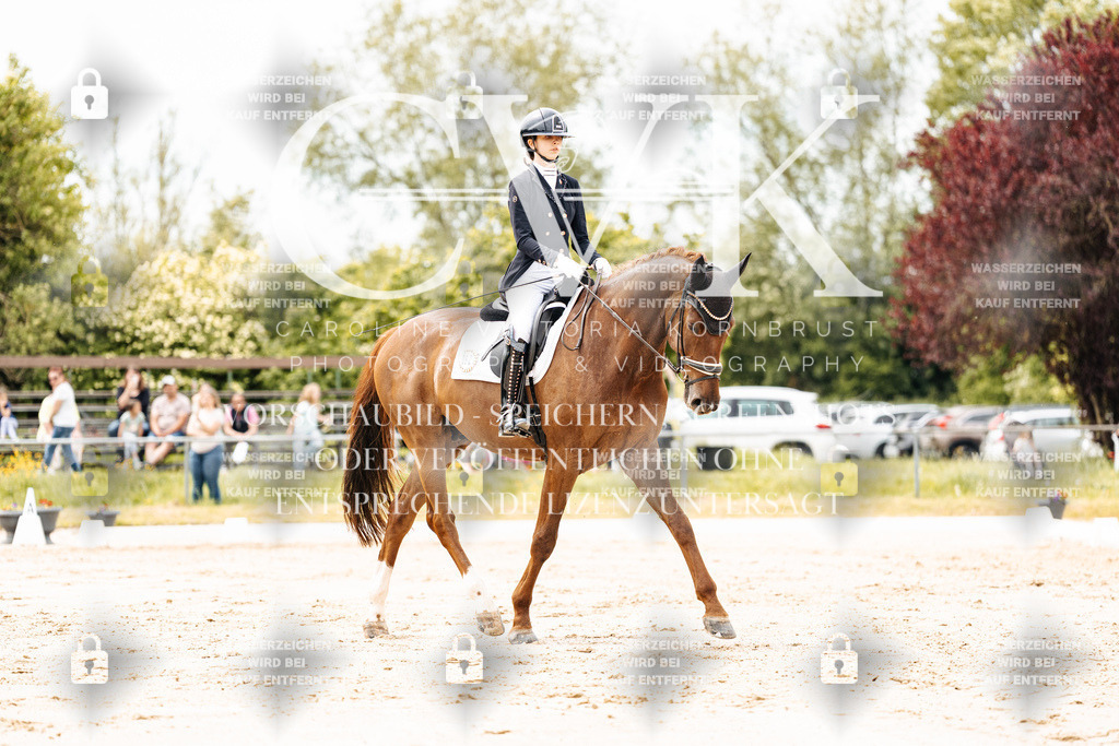CK902775 | Turnierfotografie Pferdefotografie Trier Rheinland-Pfalz Pferdesport Reitsport Tierfotografie Sportfotografie Pferdevideo Pferdevideografie Equestrianvideography equestrianphotography  - Realisiert mit Pictrs.com