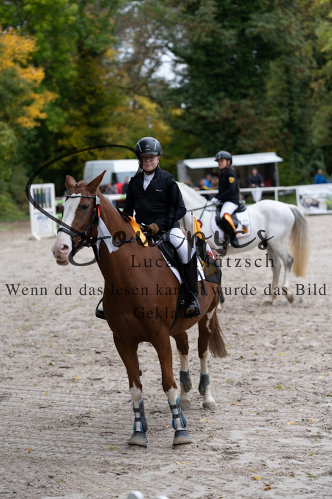 A7V09847 | Turnier/Reitfotograf