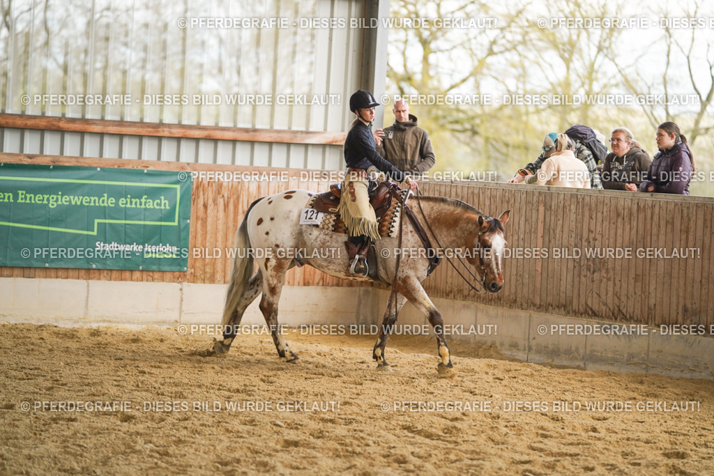 DSC08826 | Pferdegrafie