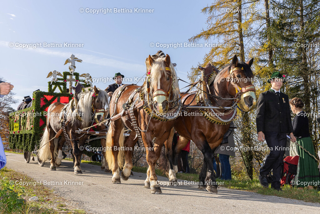 LBT24-1138 | foto-bettina-krinner - Realisiert mit Pictrs.com