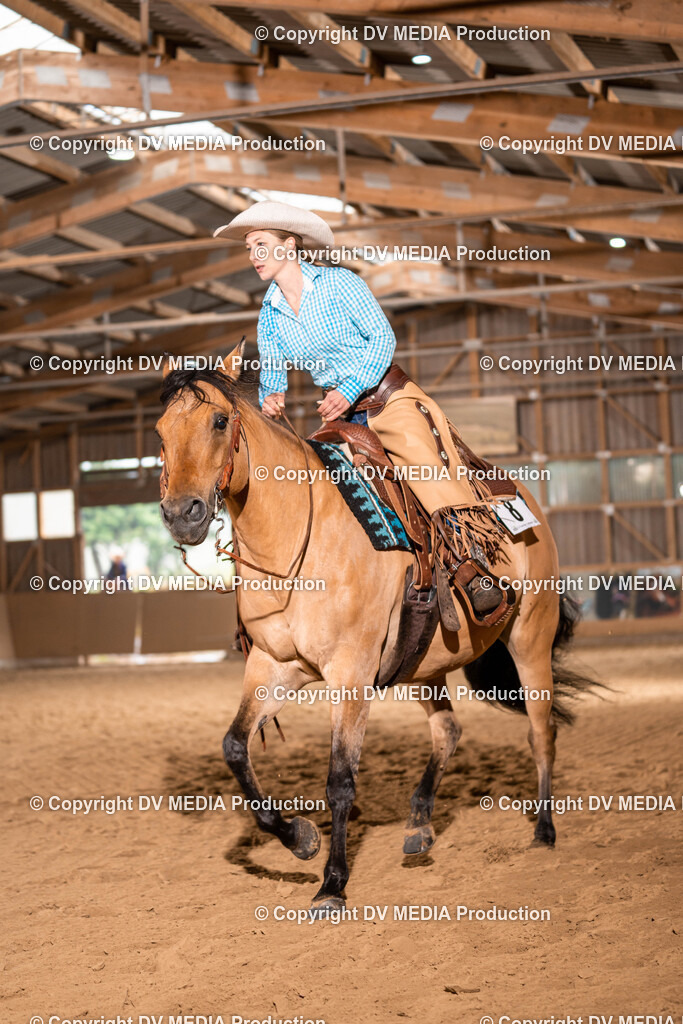 Losheim Tag 1-76 | dv-media-shop - Realisiert mit Pictrs.com