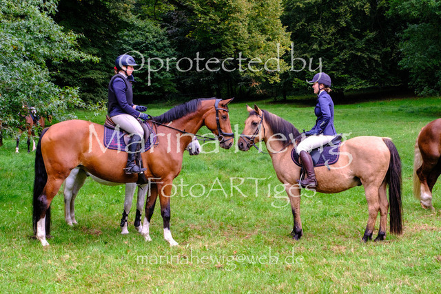 Jagd Perdoel 26 Fuji-9683_MarinaHewig | Fotografie, FotoArt, PferdesportArt, Pferdesportfotografie, Landschaftsfotografie, Reisefotografie, Reise, Pferde - Realisiert mit Pictrs.com