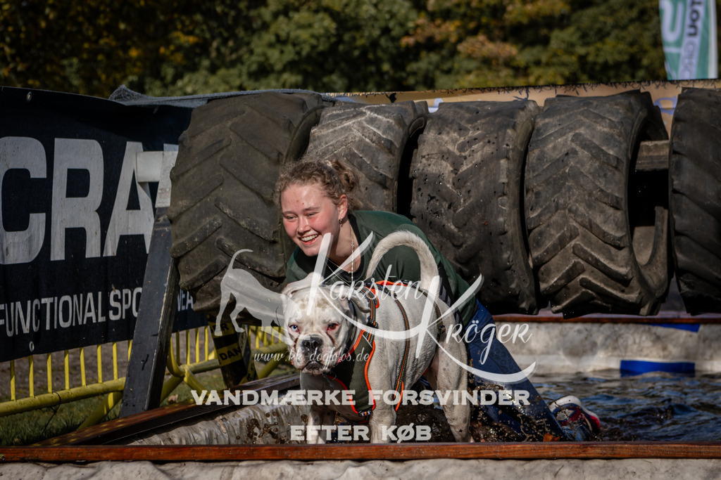 1317_ZZ92291 | kk-dogfotos