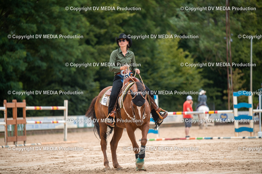 ZS2_8355 | dv-media-shop - Realisiert mit Pictrs.com