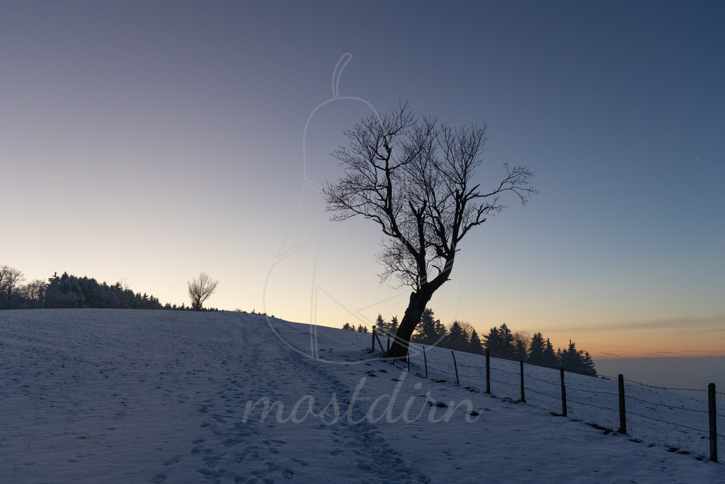 Winter am Hochkogelberg | Ihre Fotografin im Lungau, ihre Fotografin im Mostviertel, Wandbilder Onlineshop, Imagefotos für Ihr Unternehmen,  - Realisiert mit Pictrs.com