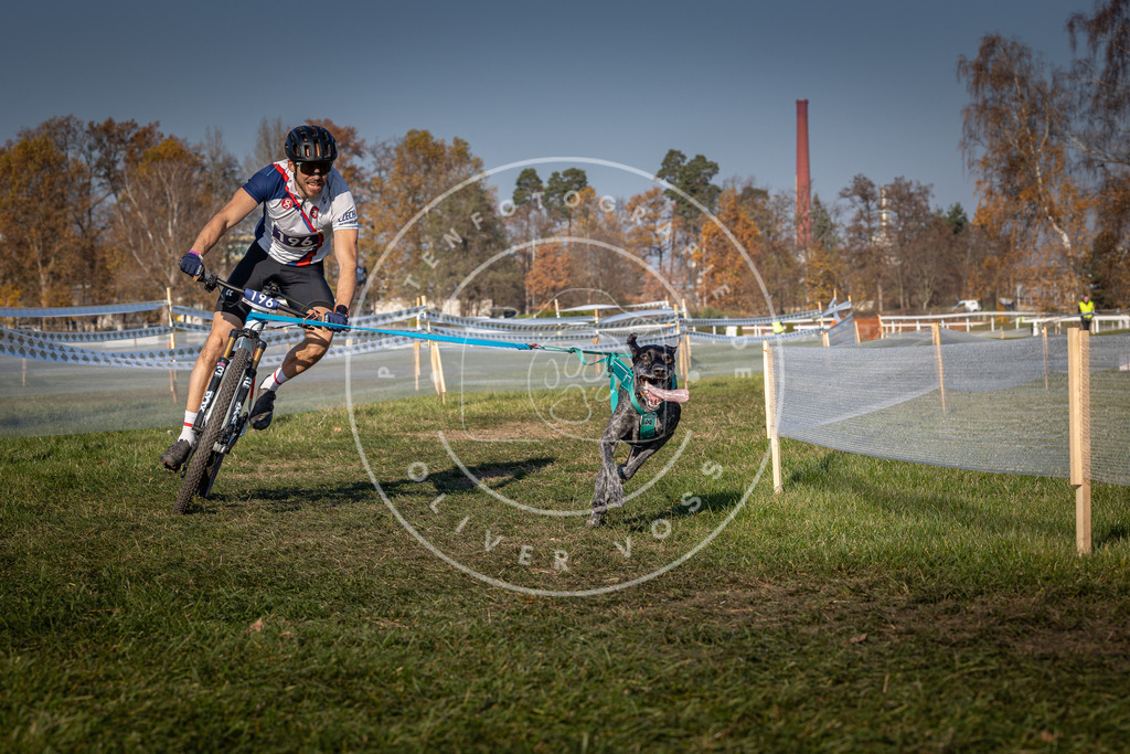 CaniXpix_0L8A6236 | Hundefotografie, Tierfotograf, Pfotenfotografie, Fotoshooting Hund, Hunde Portrait, Hundesport, Hundeportraits, Heideshooting, Hunde, Sportfotograf, Hundefotograf, Turnierhundsport, THS,  - Realisiert mit Pictrs.com