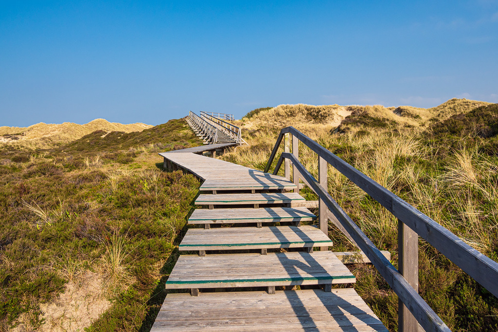 Landschaft in den Dünen bei Norddorf auf der Insel Amrum | Landschaft in den Dünen bei Norddorf auf der Insel Amrum.