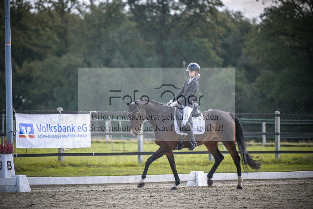 DOS_B079 | Entdecke hochwertige Reitturnierfotos von Foto Oger. Professionell, emotional und authentisch – jetzt Lieblingsmomente im Shop bestellen.Deutschlandweite Turnierfotografie. - Realisiert mit Pictrs.com