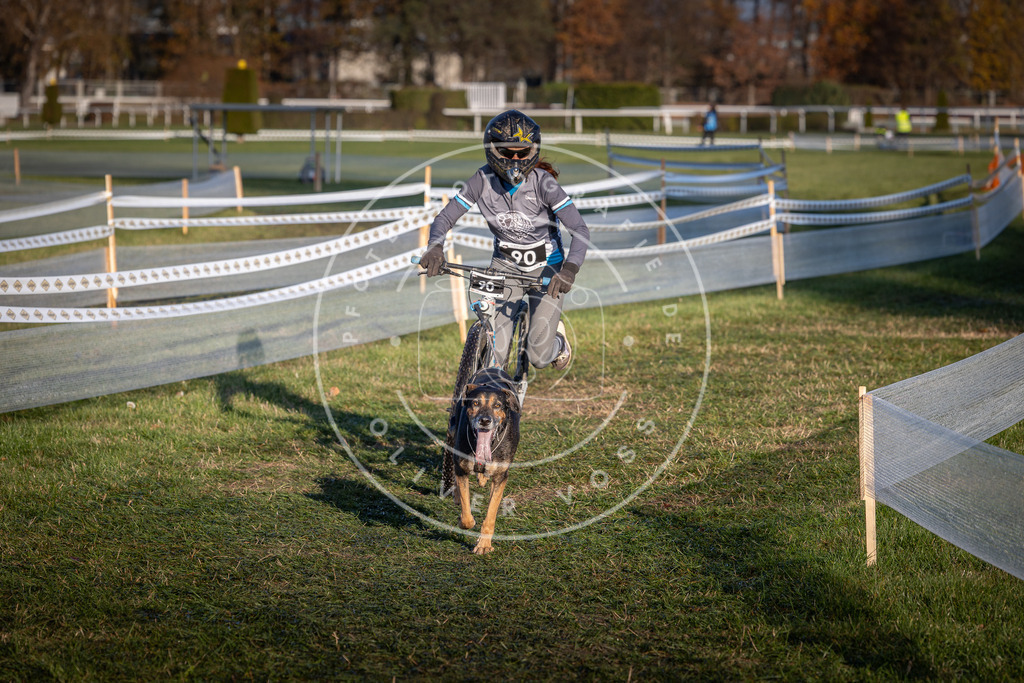 CaniXpix_0L8A3902 | Hundefotografie, Tierfotograf, Pfotenfotografie, Fotoshooting Hund, Hunde Portrait, Hundesport, Hundeportraits, Heideshooting, Hunde, Sportfotograf, Hundefotograf, Turnierhundsport, THS,  - Realisiert mit Pictrs.com