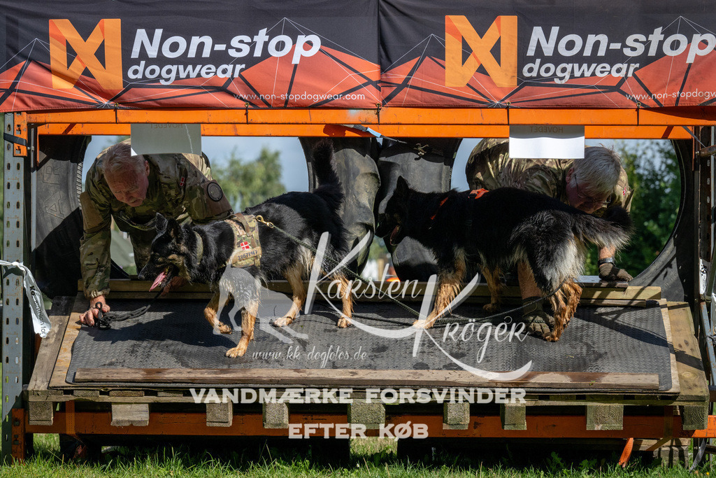 1105_ZZ91902 | kk-dogfotos