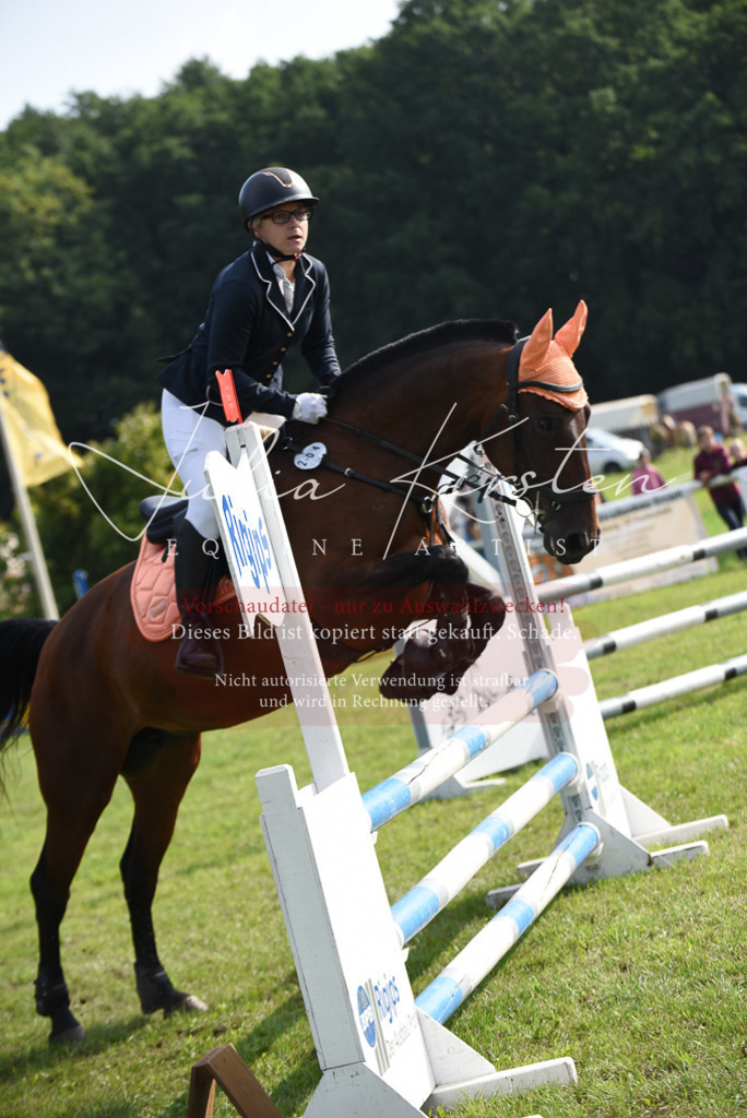 DSC_8807 | Pferde- und Turnierfotografie in Westsachsen. Pferdeportraits, Auftragszeichnungen und intuitive Kunst.