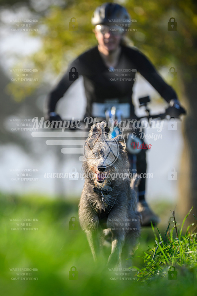 MompixPhotography_20TSB_E3_Bike-186 | PayLife