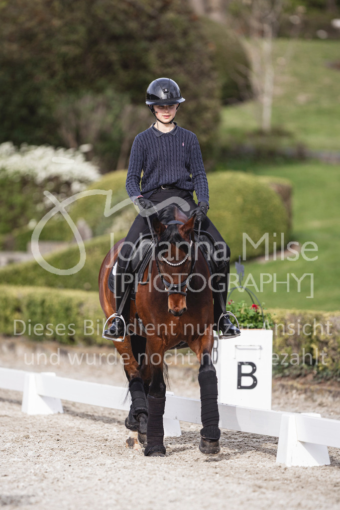 260410_Kronberg_Training-102 | Deine schönsten Turniermomente als professionelle Fotos! Entdecke hochwertige Pferdesport-Fotografie im Online-Shop. Jetzt Fotos finden & bestellen!
