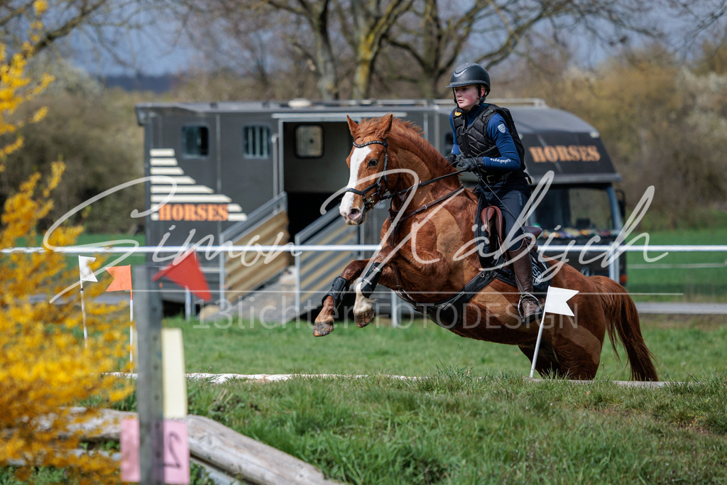 20260329-_3LI4753 | Tierfotografie Pferde, Hunde, Katzen, Haustiere.
Turnierfotografie Reitturniere, Reiten, Springreiten, Dressur in Hanau, dem Main-Kinzig-Kreis und dem Rhein-Main- Gebiet um Frankfurt