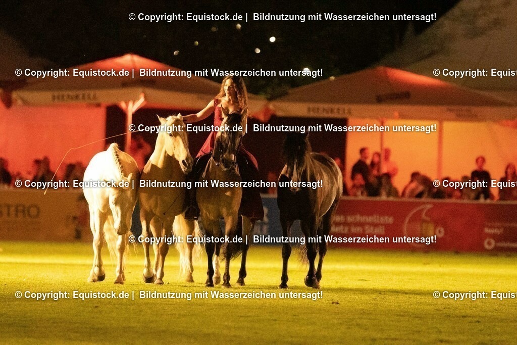 20230526_Pferdenacht_1523 | equistock