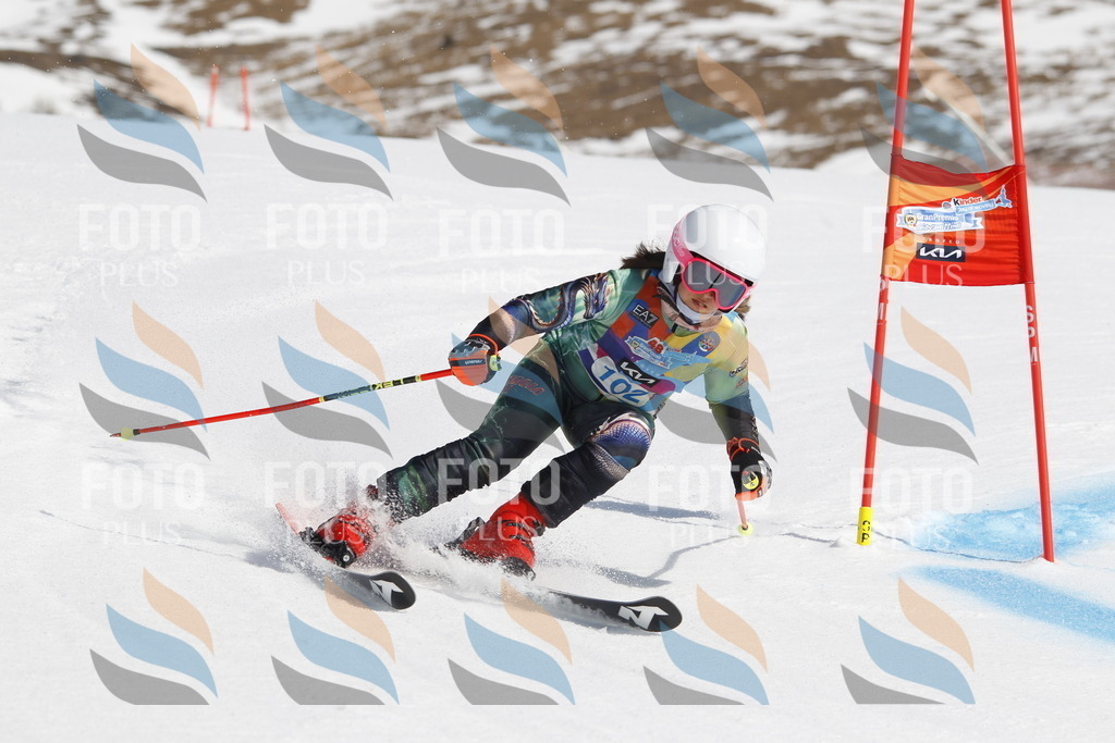 _U3G0360 | holidayphoto