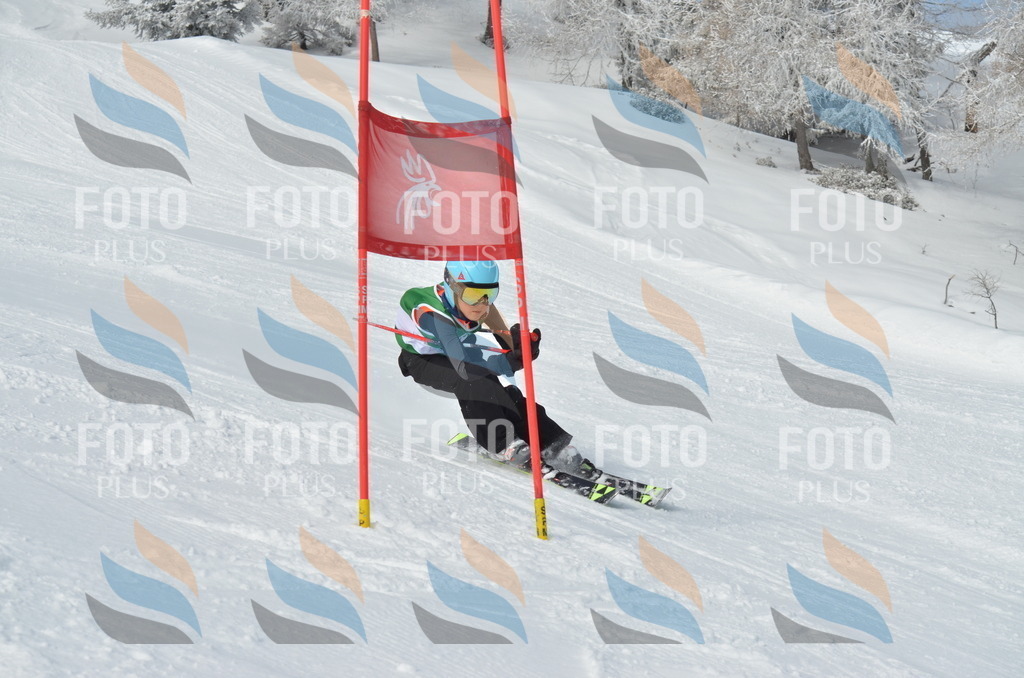 D8601 | holidayphoto