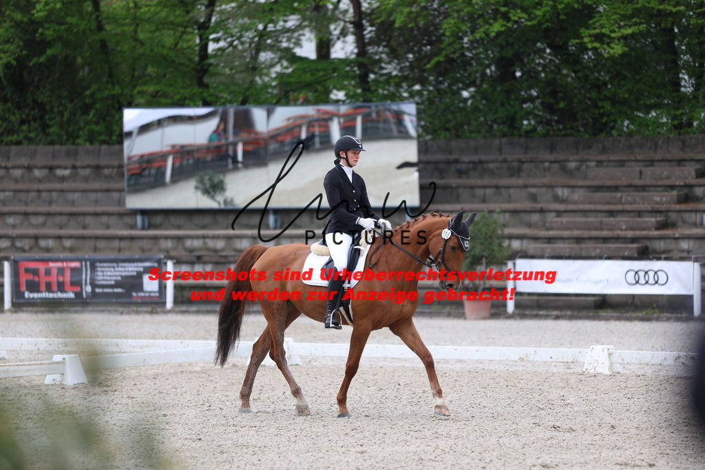 A40A8441 | lmwpictures - Realisiert mit Pictrs.com