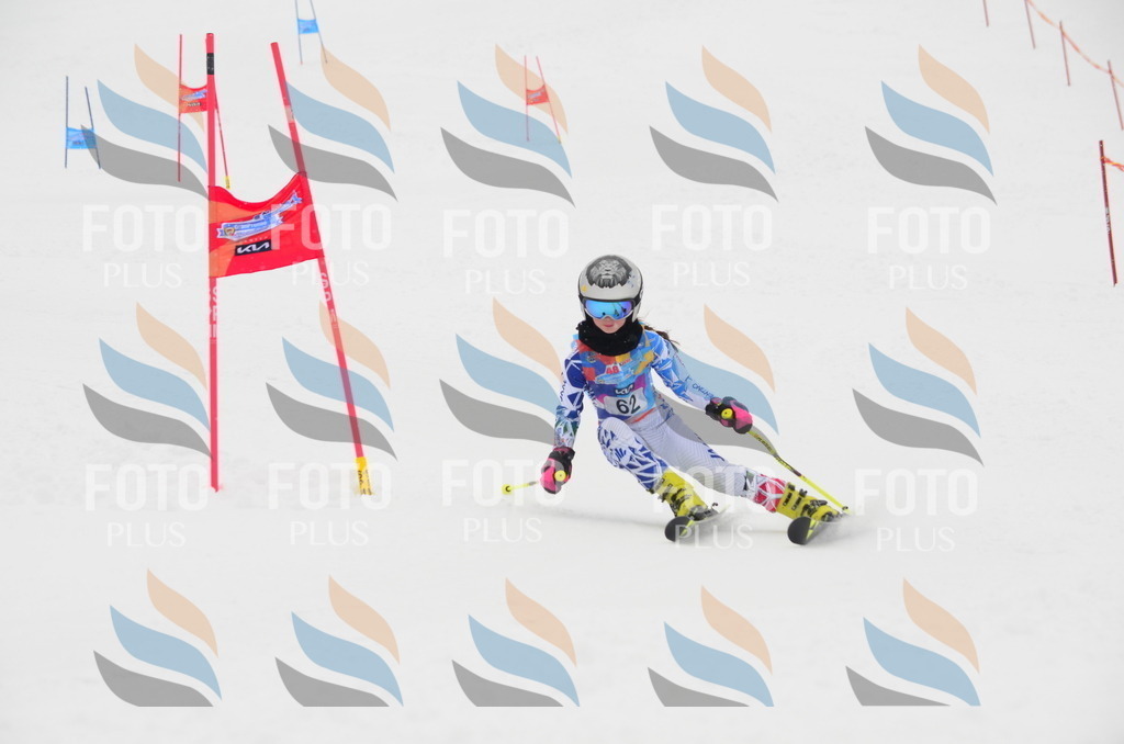 C1080 | holidayphoto