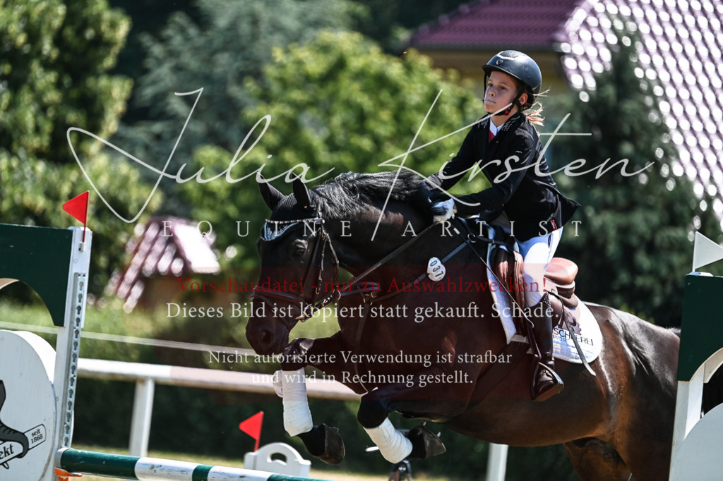 DSC_0344 | Pferde- und Turnierfotografie in Westsachsen. Pferdeportraits, Auftragszeichnungen und intuitive Kunst.