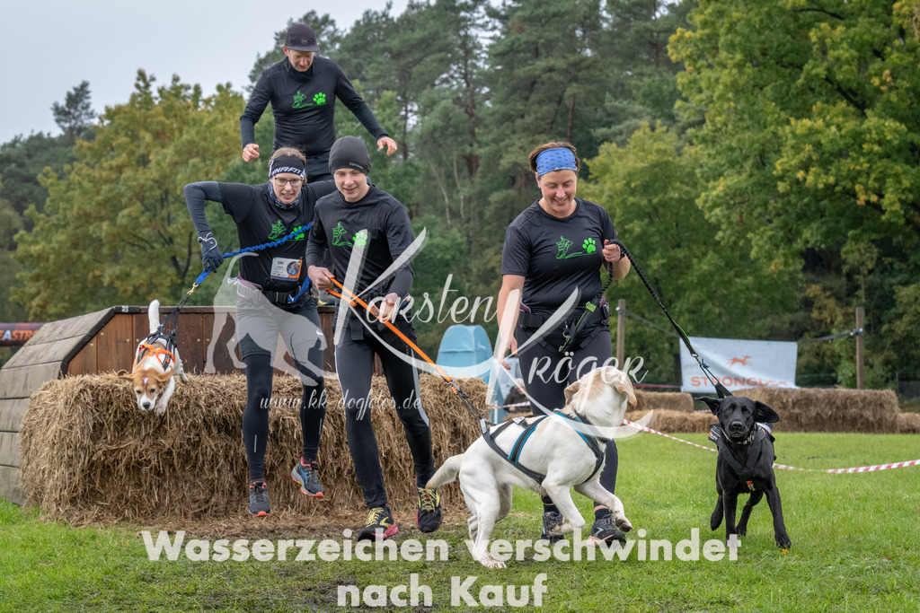 1406-94491 | kk-dogfotos