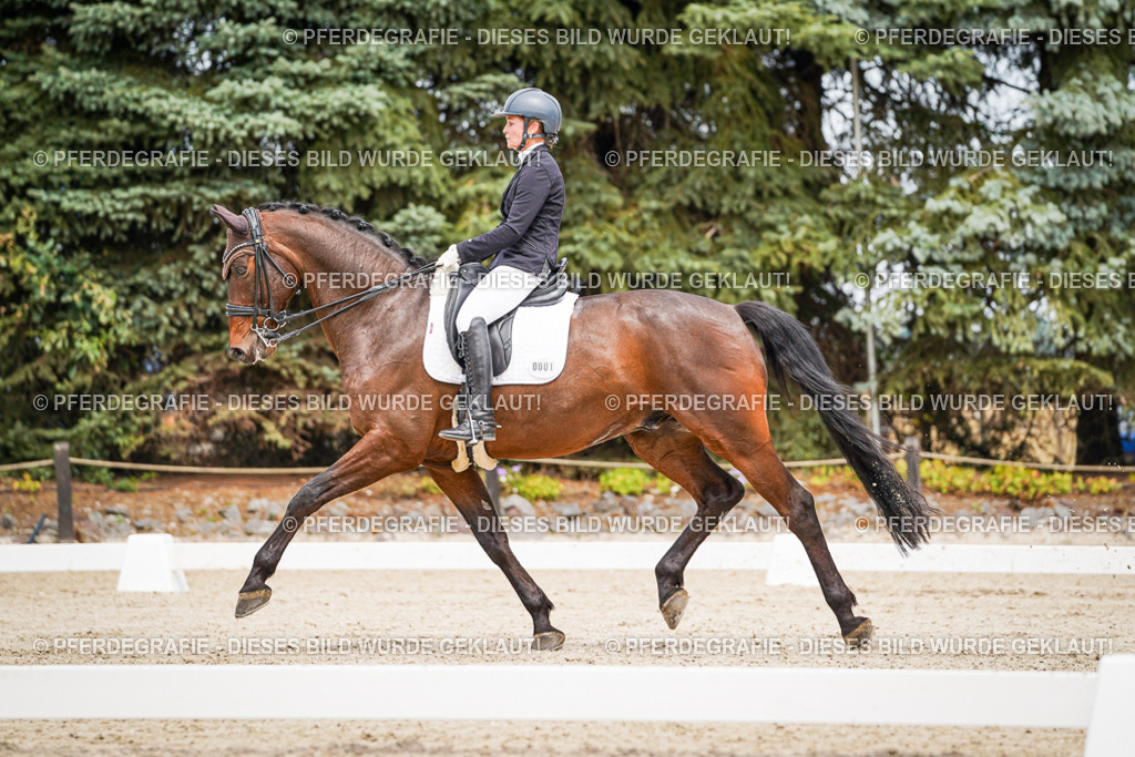 DSC04921 | Pferdegrafie