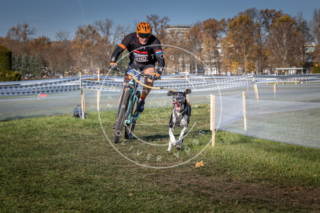 CaniXpix_0L8A5337 | Hundefotografie, Tierfotograf, Pfotenfotografie, Fotoshooting Hund, Hunde Portrait, Hundesport, Hundeportraits, Heideshooting, Hunde, Sportfotograf, Hundefotograf, Turnierhundsport, THS,  - Realisiert mit Pictrs.com