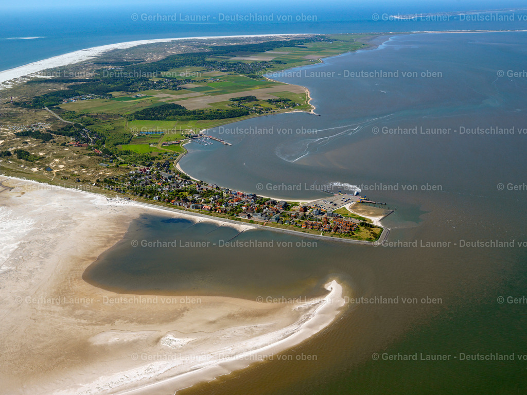3091326 | Amrum, Nationalpark Schleswig-Holsteinisches Wattenmeer