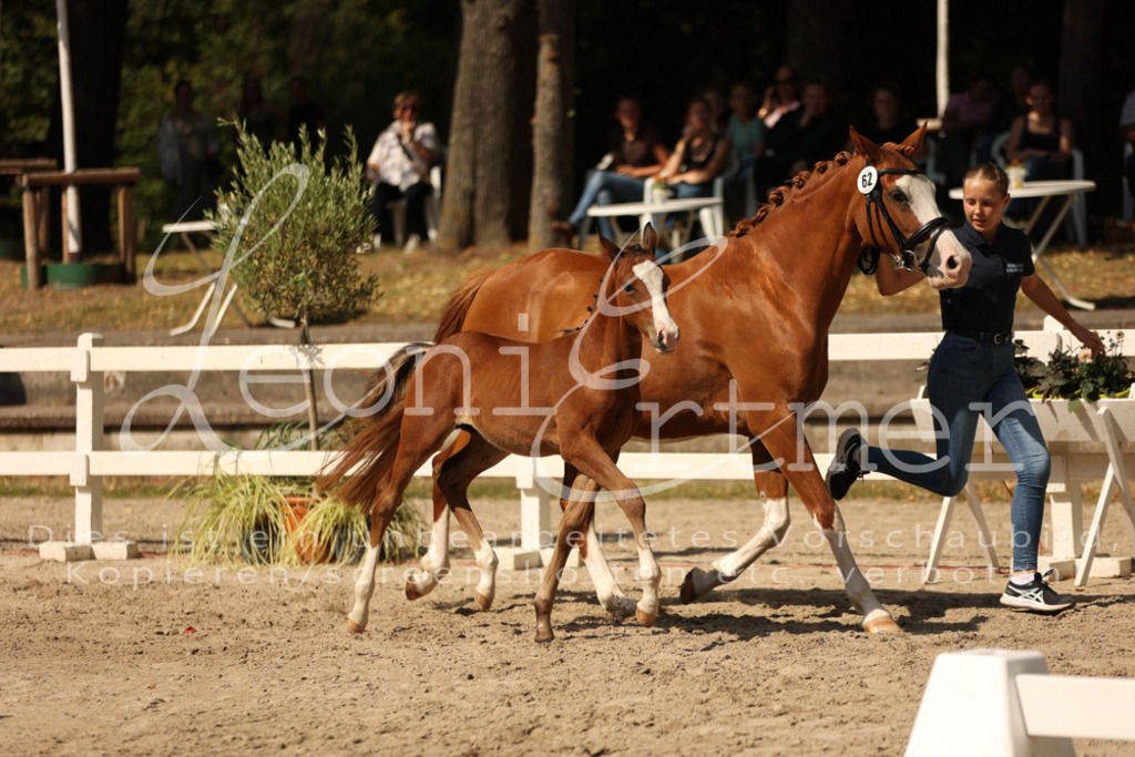 08.DoRPS00073 | Leoni Ertmer Photography - Realisiert mit Pictrs.com