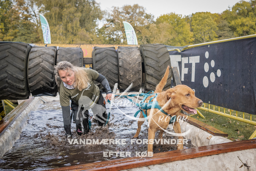 1452_ZZ90573 | kk-dogfotos