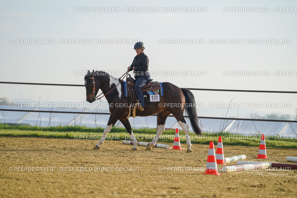 DSC09870 | Pferdegrafie