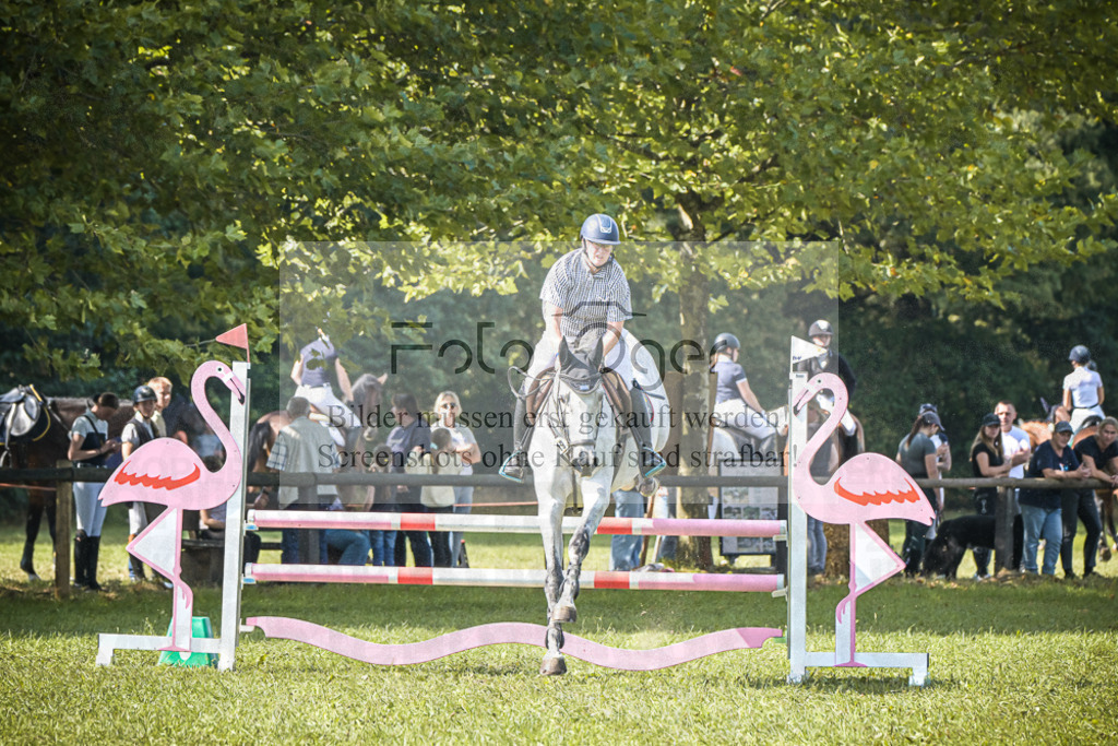 DOS_0015 | Entdecke hochwertige Reitturnierfotos von Foto Oger. Professionell, emotional und authentisch – jetzt Lieblingsmomente im Shop bestellen.Deutschlandweite Turnierfotografie. - Realisiert mit Pictrs.com