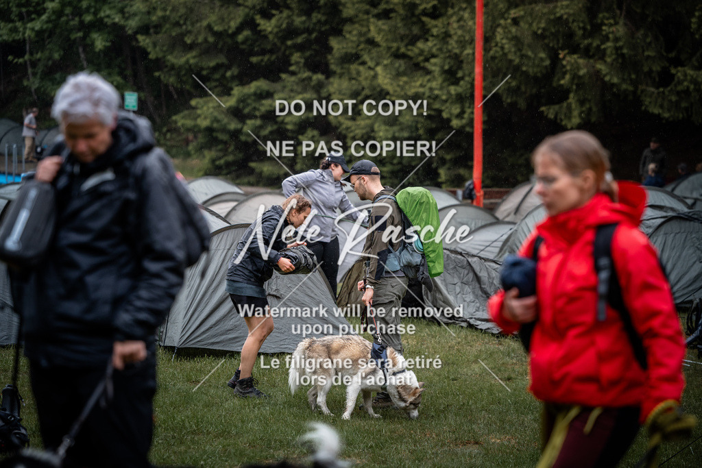 nelerasche_SaAbends_471 | nelerasche
