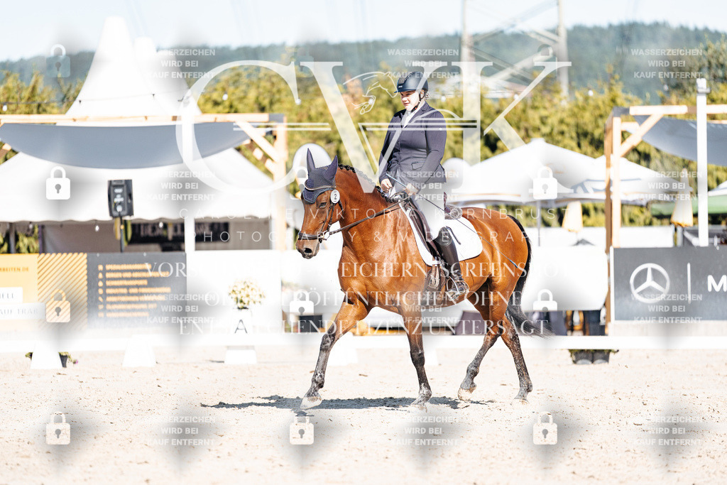 CK907960 | Turnierfotografie Pferdefotografie Trier Rheinland-Pfalz Pferdesport Reitsport Tierfotografie Sportfotografie Pferdevideo Pferdevideografie Equestrianvideography equestrianphotography  - Realisiert mit Pictrs.com