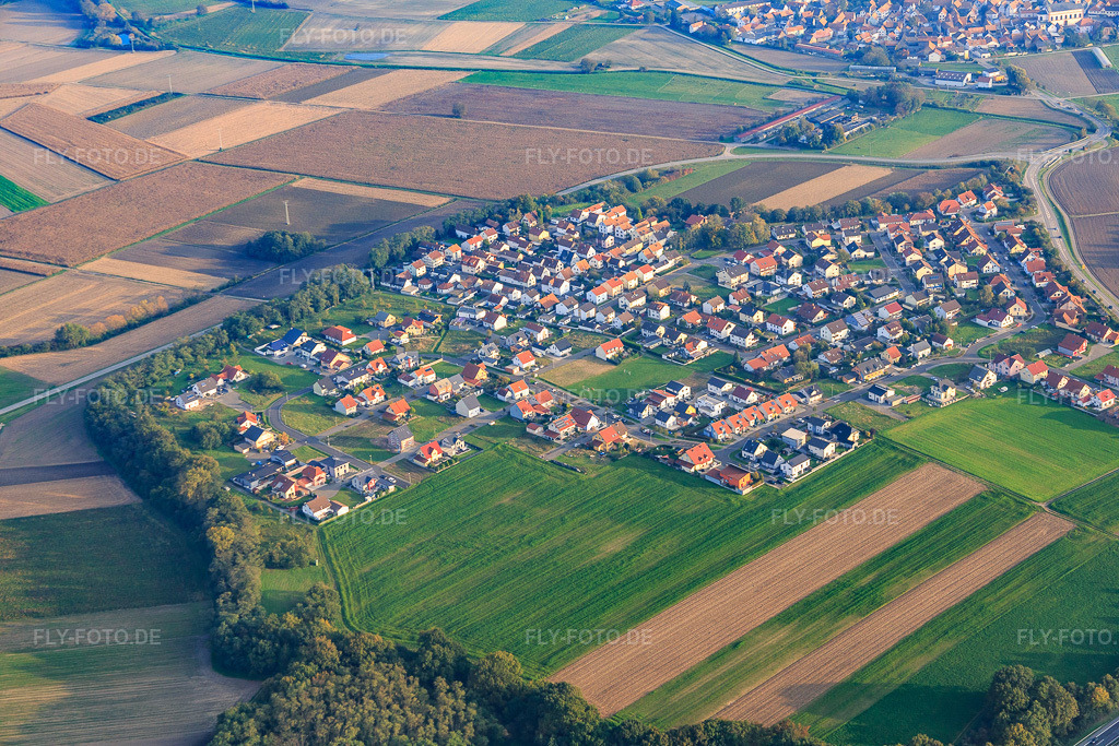 Luftbild: Ortsansicht von Westen im Ortsteil Hardtwald in Neupotz im Bundesland Rheinland-Pfalz in Deutschland. Foto: IMG_075520.jpg vom 26.10.2014 durch Werner Riehm/FLY-FOTO.deAuflösung des Originals: 5472 x 3648 px