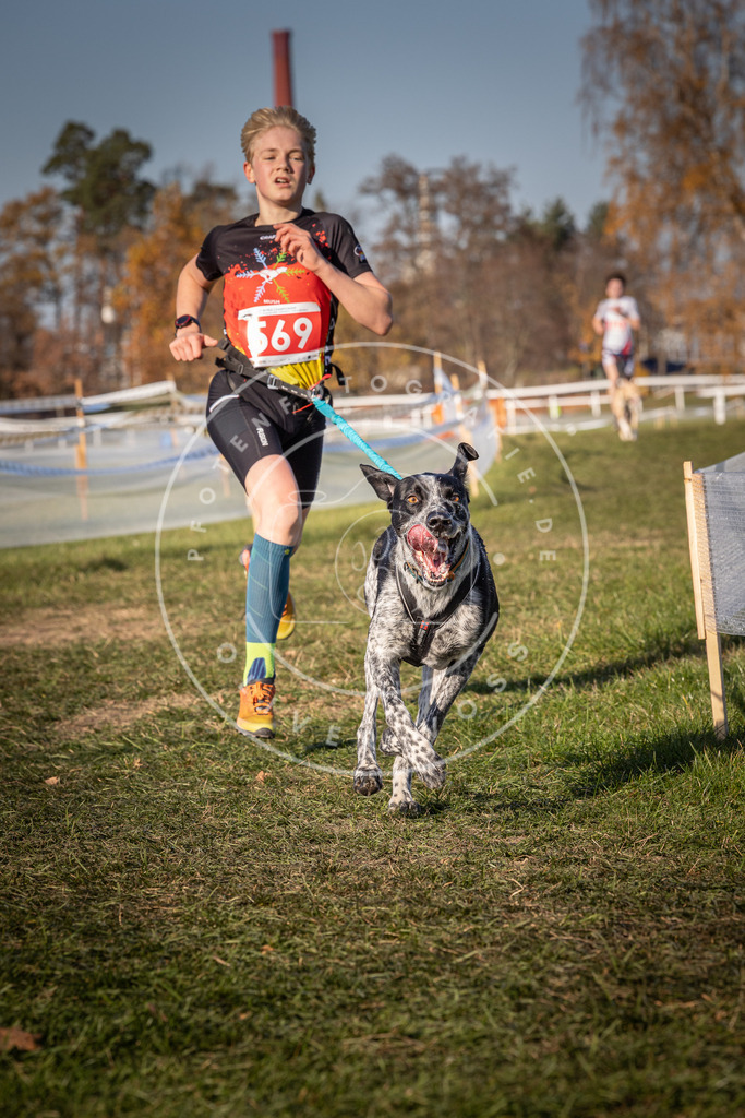 CaniXpix_0L8A8014 | Hundefotografie, Tierfotograf, Pfotenfotografie, Fotoshooting Hund, Hunde Portrait, Hundesport, Hundeportraits, Heideshooting, Hunde, Sportfotograf, Hundefotograf, Turnierhundsport, THS,  - Realisiert mit Pictrs.com