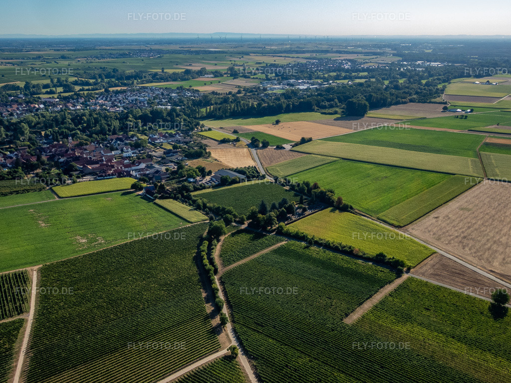Luftbild: Ortsansicht im Ortsteil Mühlhofen in Billigheim-Ingenheim im Bundesland Rheinland-Pfalz in Deutschland. Foto: P8080030.jpg vom 08.08.2022 durch Werner Riehm/FLY-FOTO.de