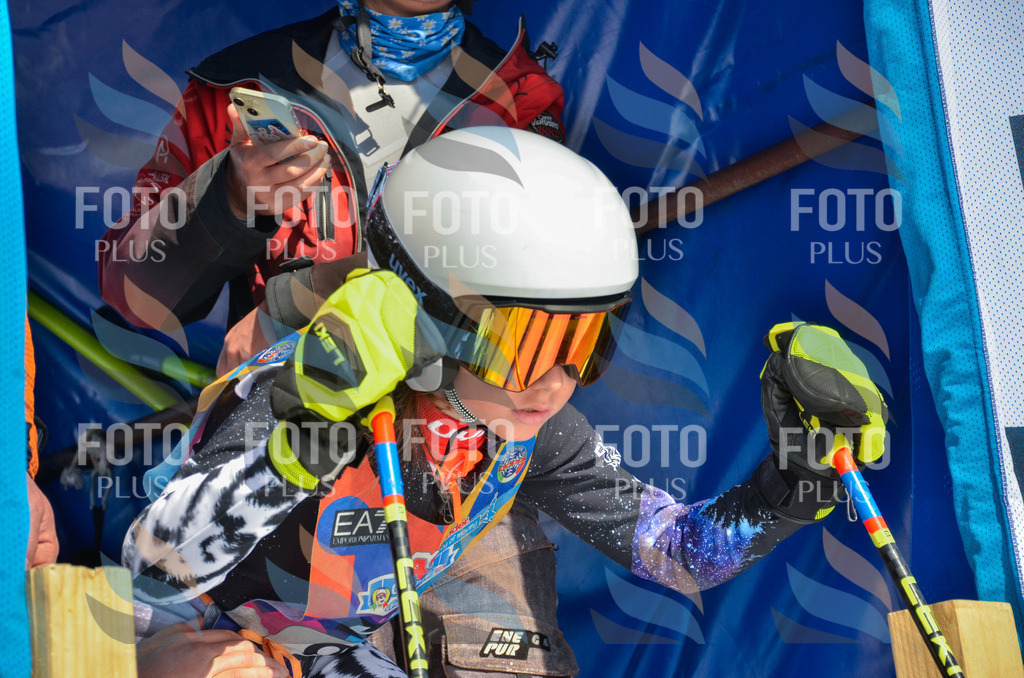 _ELE5765 | holidayphoto