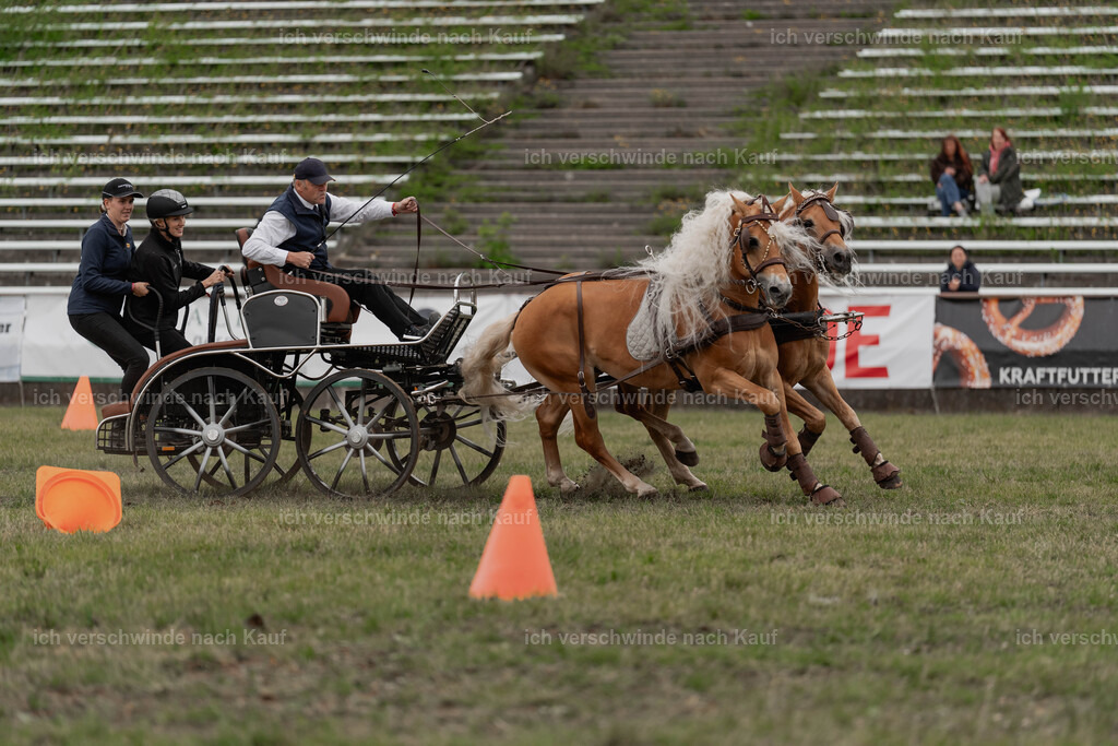 Showprogramm-519 | working equitationturnier fotograf videograf stoibphotography marixx film working equitation deutschland reitsport turnierfotografie eventfotografie equestrian events