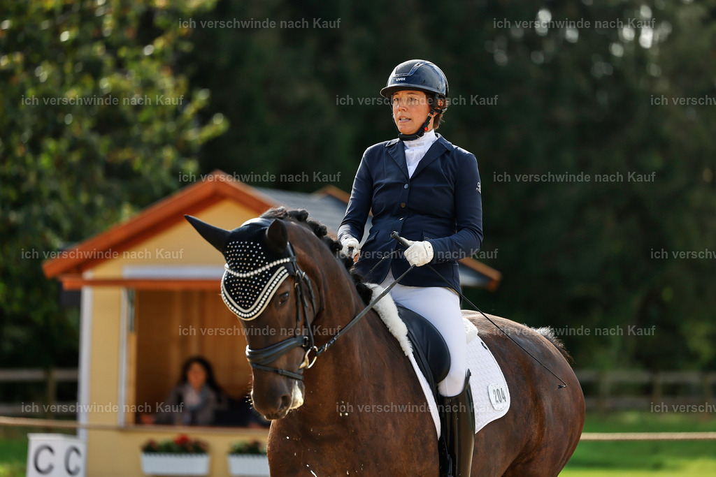 02-204-DRESSUR L_  -StoibPH-4793 | working equitationturnier fotograf videograf stoibphotography marixx film working equitation deutschland reitsport turnierfotografie eventfotografie equestrian events
